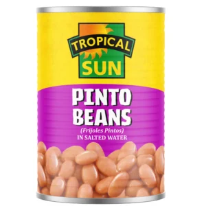 Hardyz Tropical Sun Pinto Beans 400g